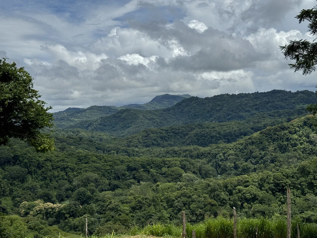 Playa Dominical Mountain Farming Property - Gallery image 18