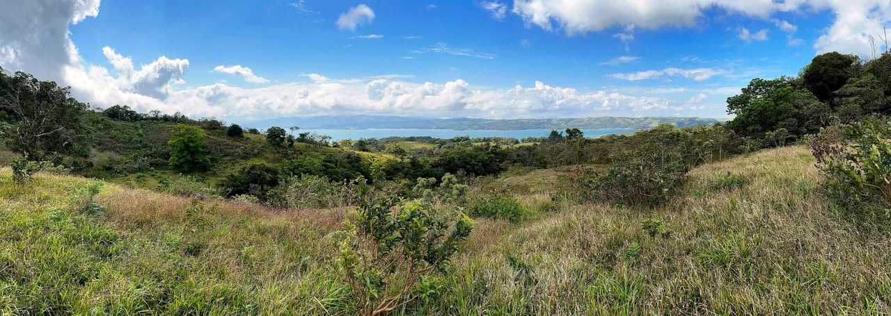 4.5 ha building land with fantastic lake view - Gallery image 11