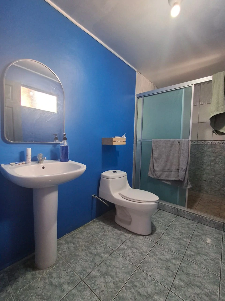 Commercial or Mixed Use?: Prime Central Grecia Commercial! - Gallery image 9