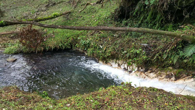 Cold & Hot springs surrounded by an overgrown farm, taken back by nature - Gallery image 90
