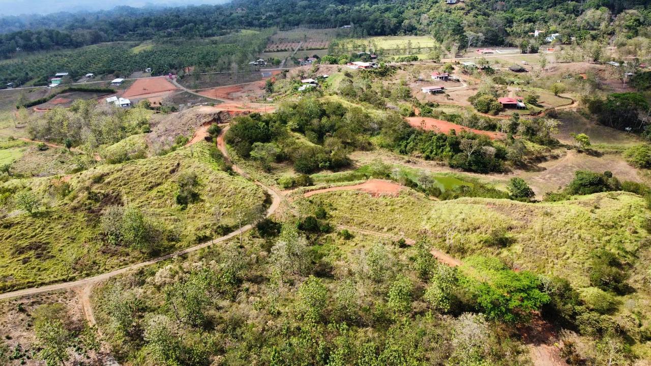 Off the grid property | Located in a privileged area, surrounded by natural beauty: Mountain Home Construction Site For Sale in Damas - Gallery image 7