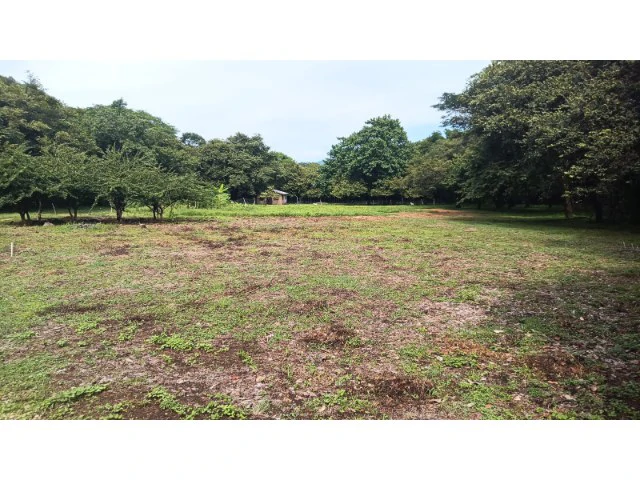 Tamarindo horse farm with two houses, a barn in the best natural setting - Gallery image 7