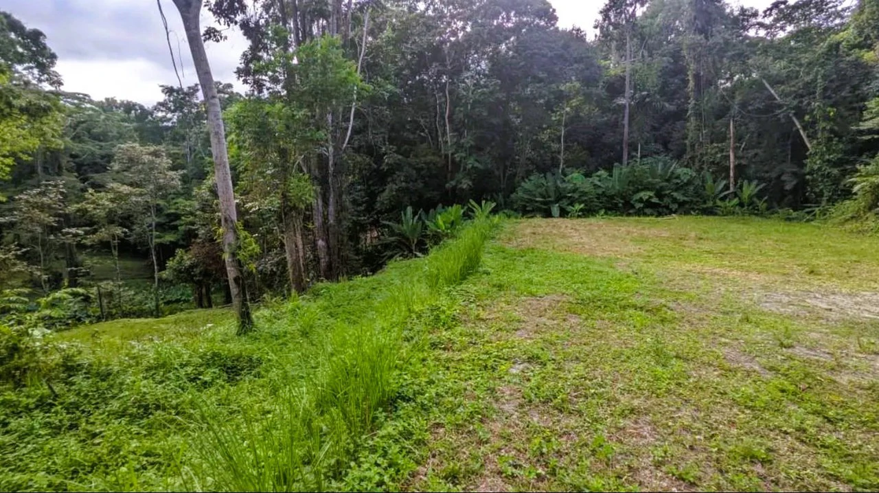 ID 4203: Land in Gated Community, Owner Financing available - Gallery image 8