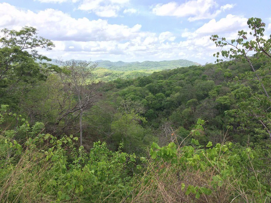 GRAN OPORTUNIDAD: GREAT OPPORTUNITY. Property of 48.3 hectares adjacent to the Hotel Riu - Gallery image 5