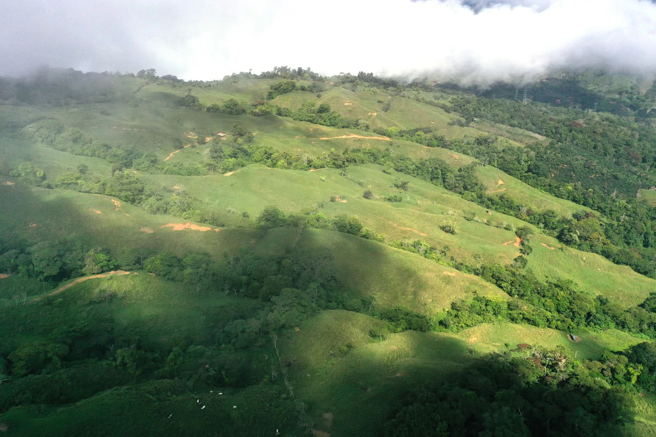 150 Acre Cattle Ranch with Panoramic Views Above the mountains of Uvita - Gallery image 13