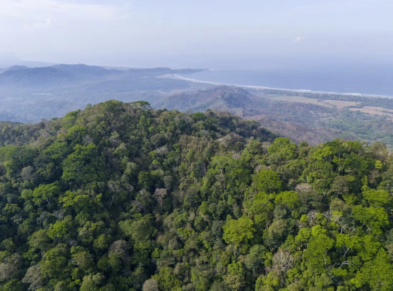 Ocean view farm for sale Costa Rica San Miguel Beach Costa de Oro - Gallery image 18