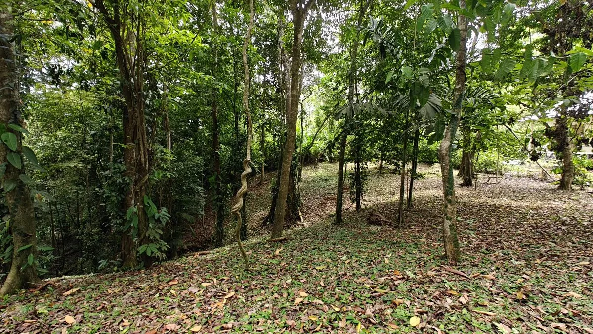 ID 1121: 1,979m² Titled Lot - Last Available Lot in Punta Uva Hills - Near Punta Uva Beach - photo 10