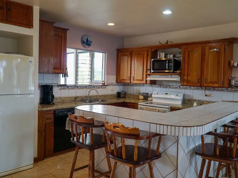 0.2 ACRES – 2 Bedroom House In San Isidro With 360 Degree Mountain Views!!! - Gallery image 11