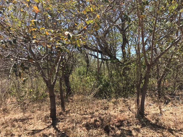 Huge terrain for sale in Guardia close to the International Airport of Liberia - Gallery image 29