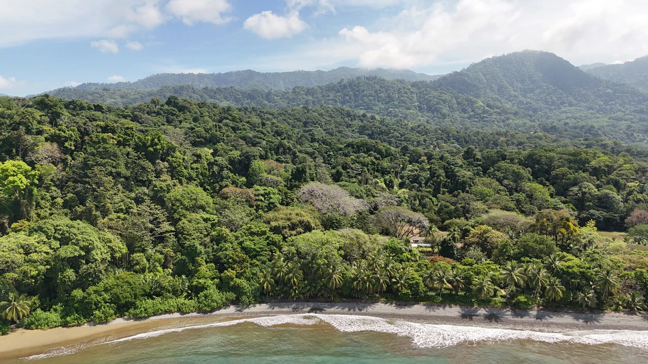 Dream Beachfront Property at Ballena Beach in Uvita, Costa Rica - Gallery image 27