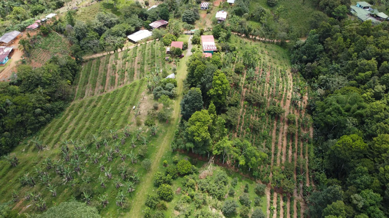 SE VENDE PROPIEDAD DE 5.5HA, SANTA MARTA DE CAJÓN, PEREZ ZELEDON.: Mountain Home Construction Site For Sale in Cajón - Gallery image 2