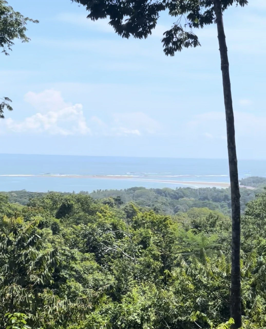 1.7 Acres Ocean View Lot with Producing Cabin in Uvita - Gallery image 15
