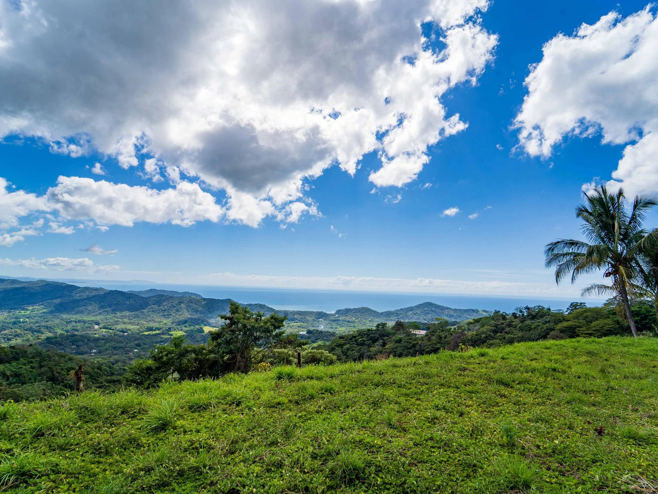 Lote Tres Palmas: Stunning Ocean View lot with 2 Platforms - Gallery image 11