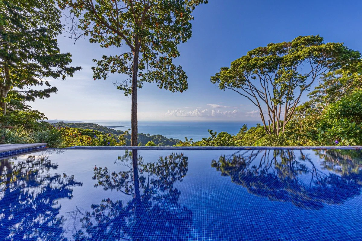 2 ACRES – 2 Bedroom Whales Tale Ocean View Home In Costa Verde Estates Gated Community!!!: 79 ACRES – Amazing Farm On Ridge Top With Whale’s Tail Ocean View And 800 Exotic Tropical Fruit Trees!!!!! - Gallery image 48