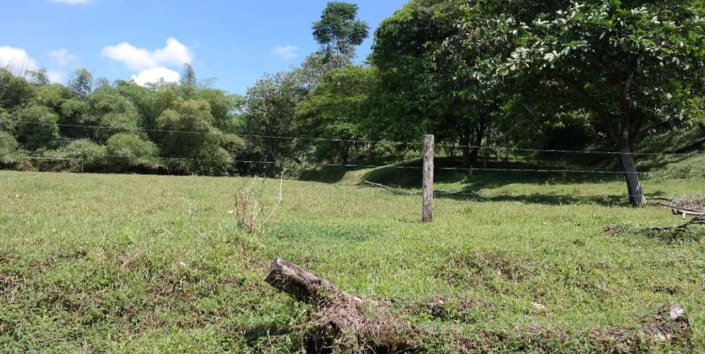 Countryside and Mountain Property For Sale in Pococi - Gallery image 12