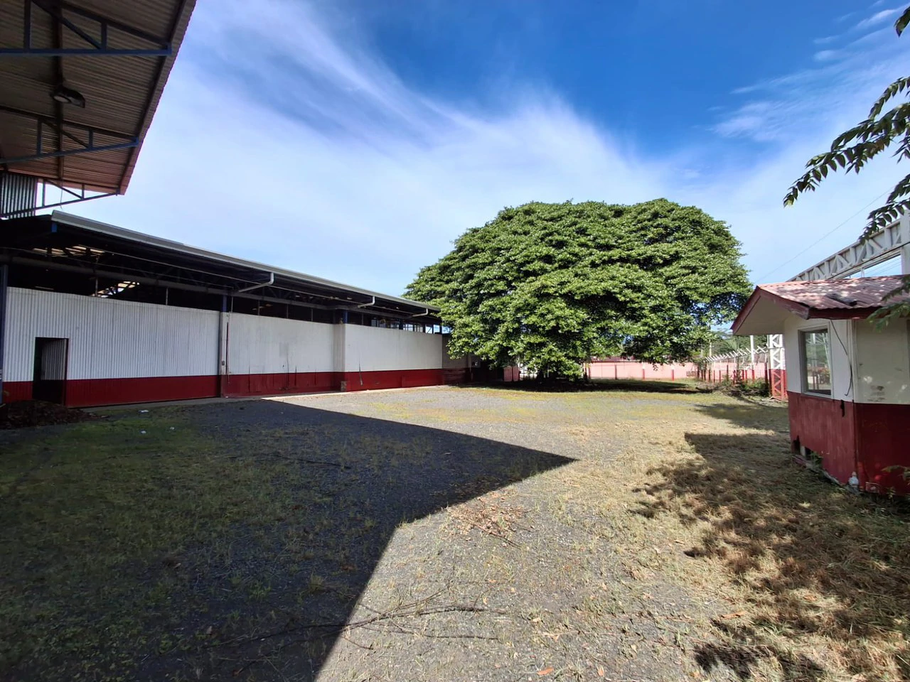 Warehouse: Commercial Bodega with Easy Access! - Gallery image 14