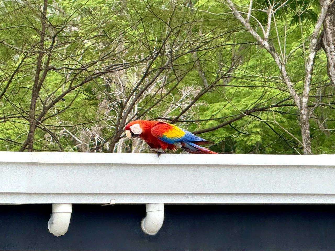 Azul del Mar 44:  Affordable Condo for Sale in Los Delfines, Costa Rica - Gallery image 19