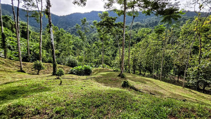 Waterfall Estate, Dos Bocas, Dominical Featuring Twin Waterfalls, Springs, Creeks & Rivers - Gallery image 13