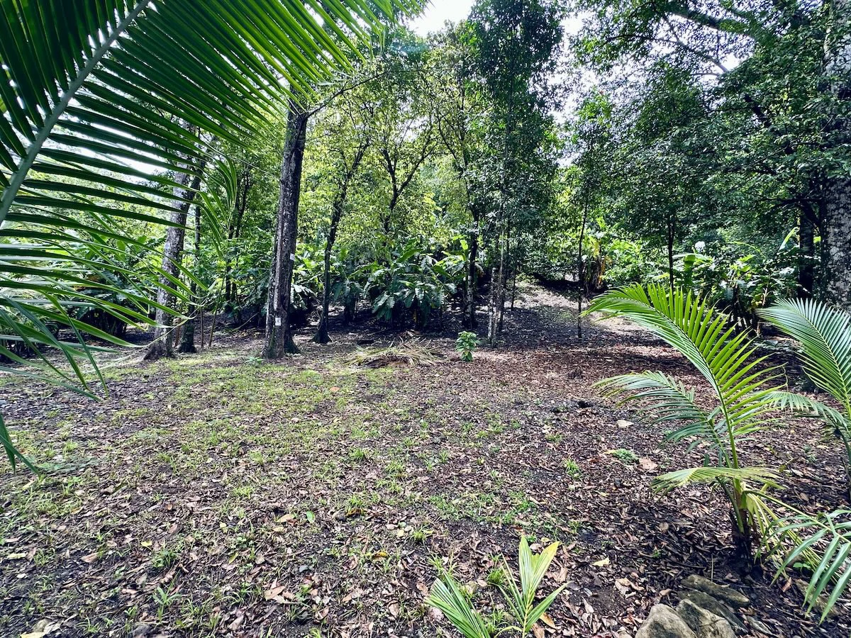 Beautiful Lot in Matapalo Osa Peninsula - Gallery image 6