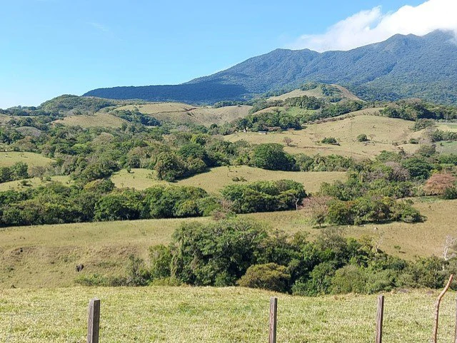 Warm Spring Mountain Property in a tropical landscape and antique wooden house,  50 minutes from Liberia city - Gallery image 33
