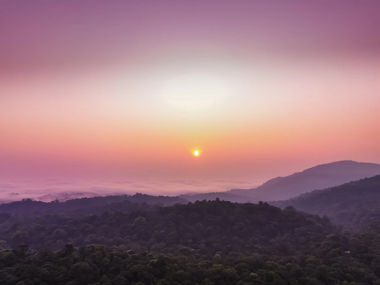 Celeste Mountain Lodge: Mountain Hotel/Resort/Hostel For Sale in Bijagua - Gallery image 9