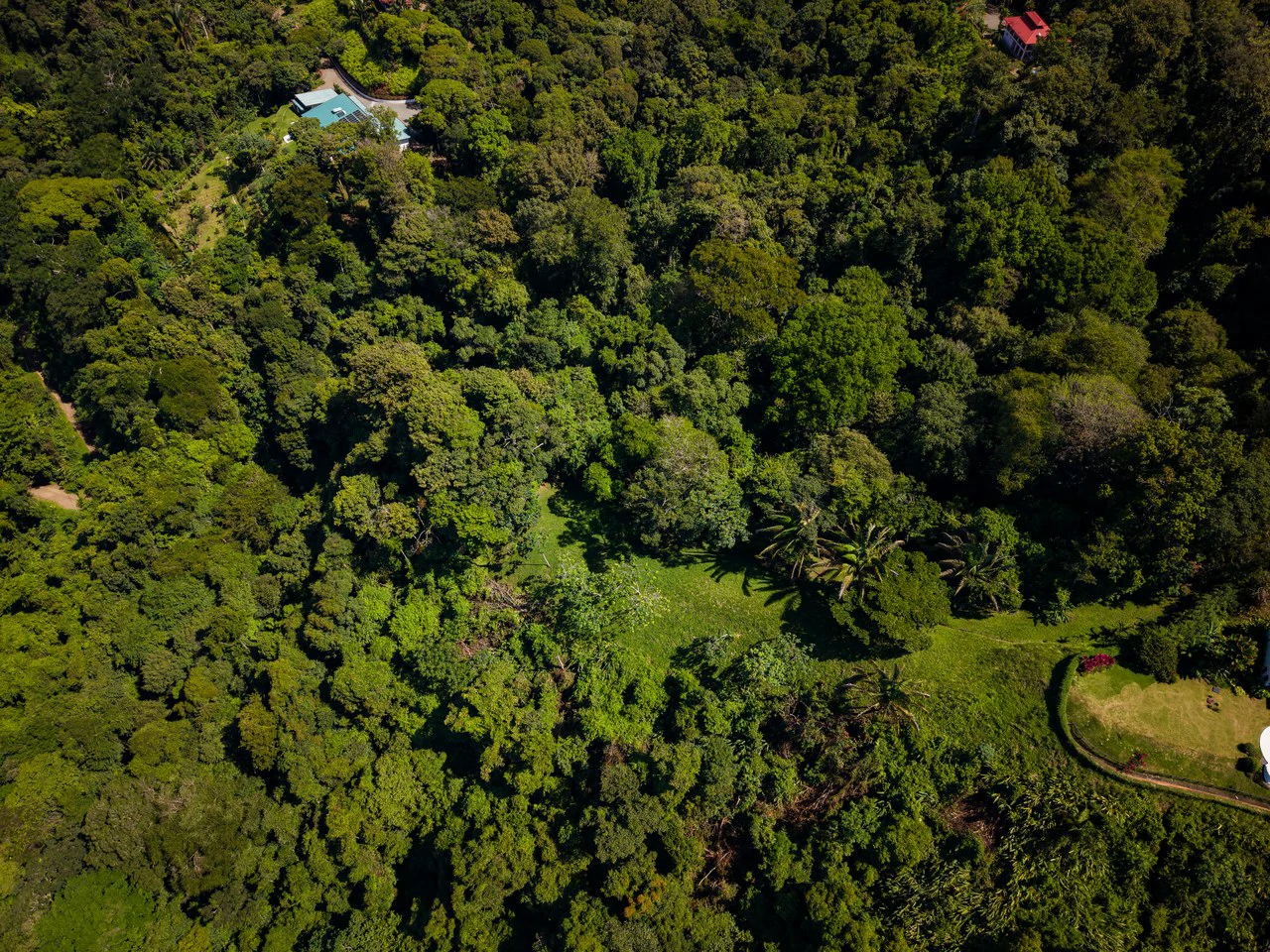 Front Row Ocean View Property with a Private Waterfall in Dominical - Gallery image 13