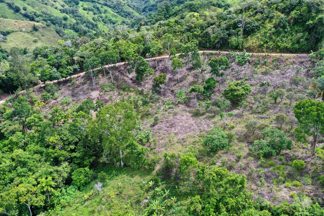4.6 Acre Tropical Fruit Farm with Elevated Homesite & Valley Views San Isidro - photo 15