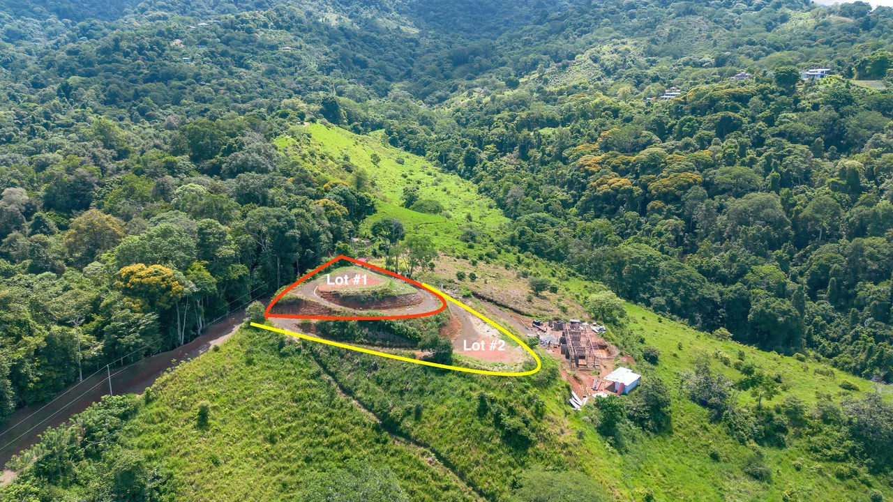 Luxury Ocean View Lot in Piñuelas - Premier Building Site - Gallery image 41