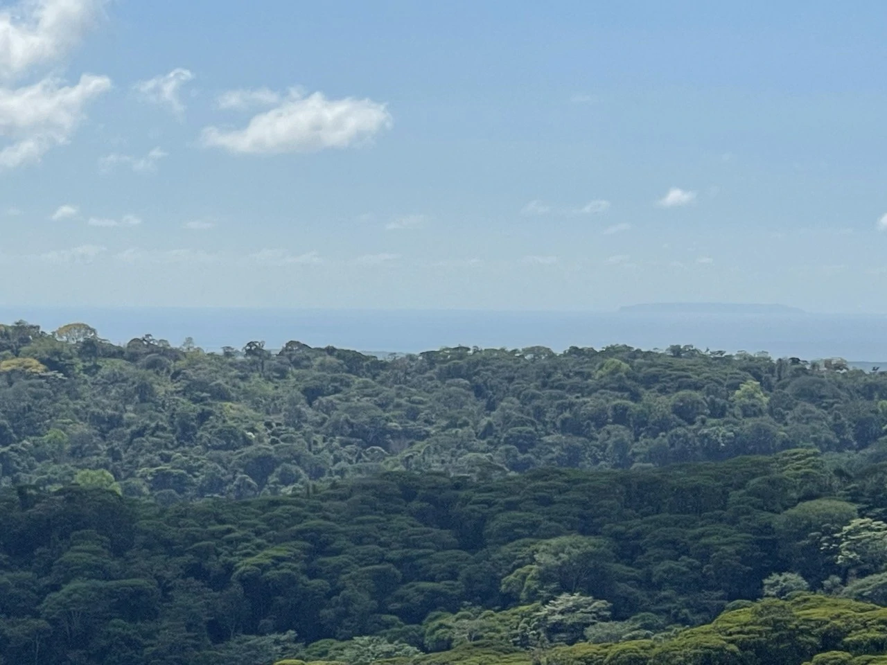 Sunset Ocean View Land with Cano Island Views: Home Construction Site For Sale in Ojochal - Gallery image 6