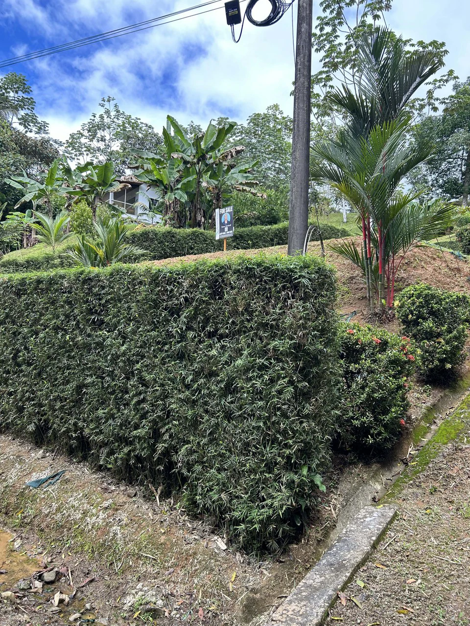 Playa Hermosa: Two Locations to Build, Permits Ready - Gallery image 15