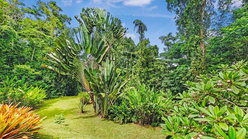 ID 498 - 3 Bd/3Ba w/Pool on 21,000m2 Lot, Punta Uva: Hilltop Estate with Expansive Outdoor Living, Infinity Pool, and Solar Power on 2.1 Hectares of Titled Land - Gallery image 34