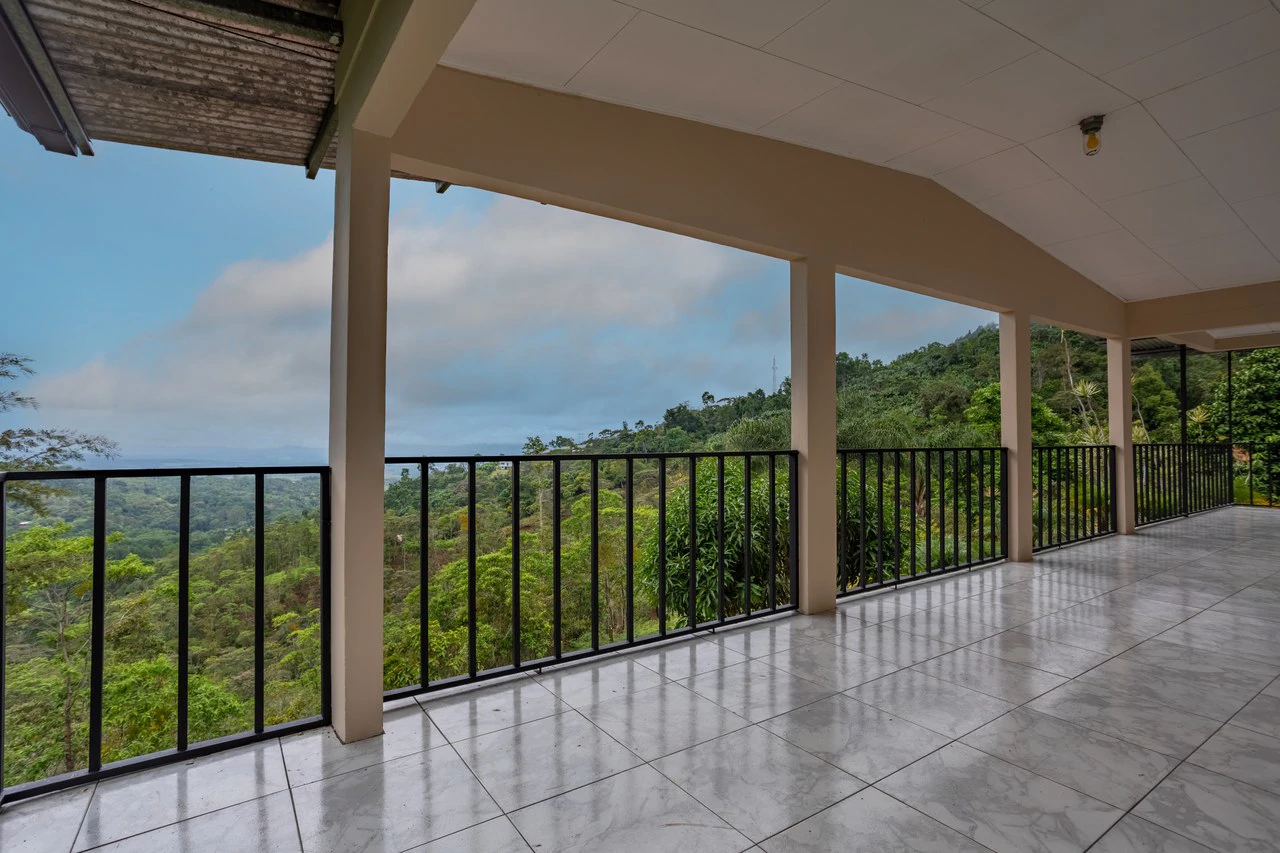 Expansive 27 Acre Farm with Residence in San Isidro del General - Gallery image 39
