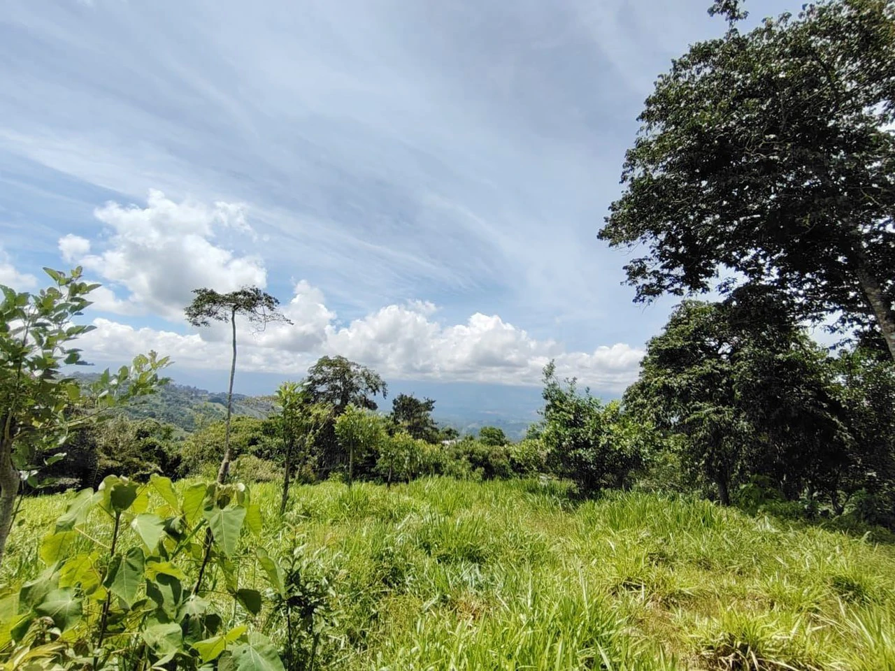 Lote en venta-ubicado en San Juan Bosco, Perez Zeledon: Mountain Home Construction Site For Sale in Daniel Flores - Gallery image 14