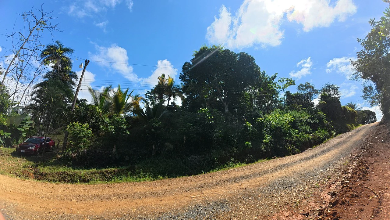 FOR SALE IN LAS MERCEDES DE CAJÓN, PEREZ ZELEDON: Lot for Sale in Las Mercedes de Cajon, Perez Zeledon 2,466 m² - Gallery image 10