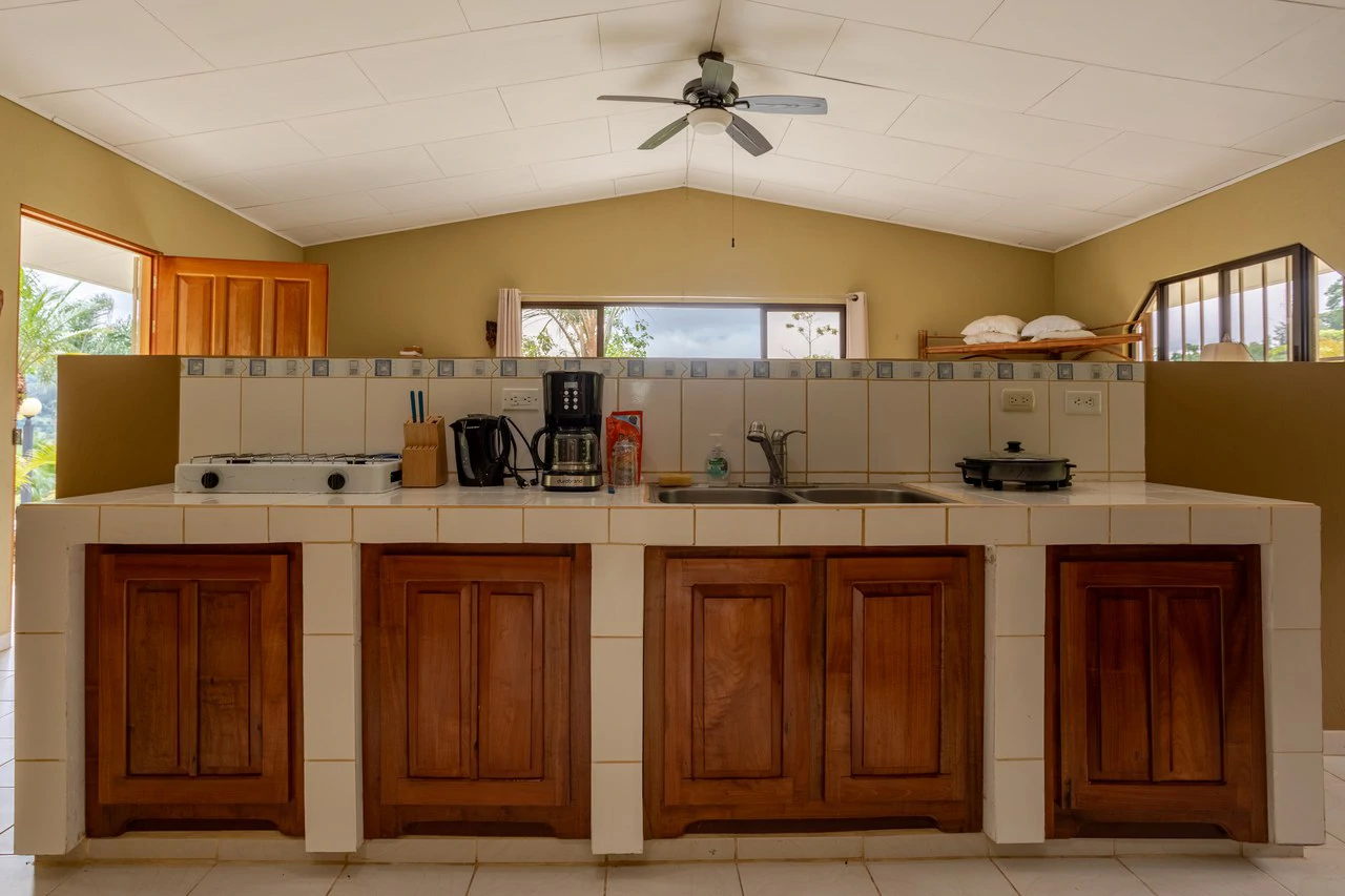Expansive 27 Acre Farm with Residence in San Isidro del General - Gallery image 42