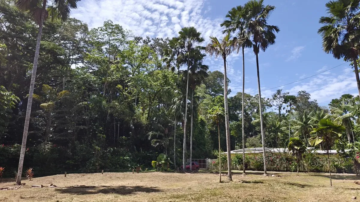 ID 949: 1,547 sqm Build-Ready Lot Near Cahuita and Playa Grande - Gallery image 7