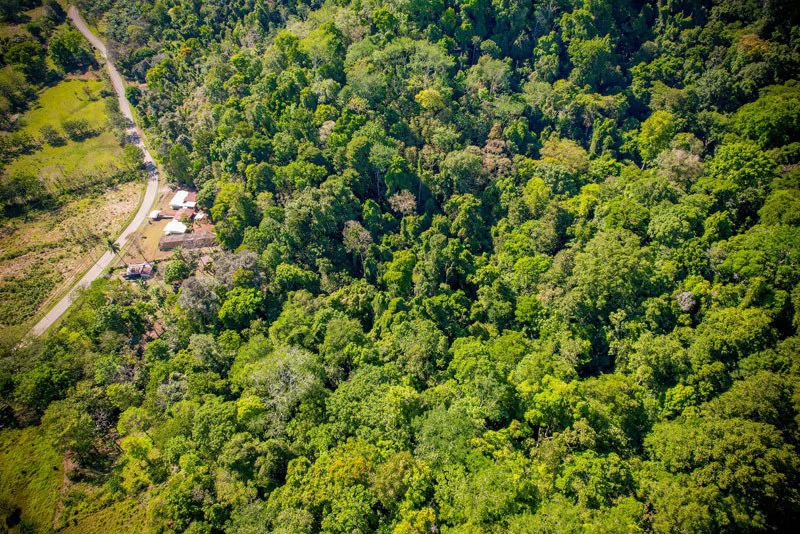 Ocean View & Primary forest 55-ha Rincon de Osa - Gallery image 30