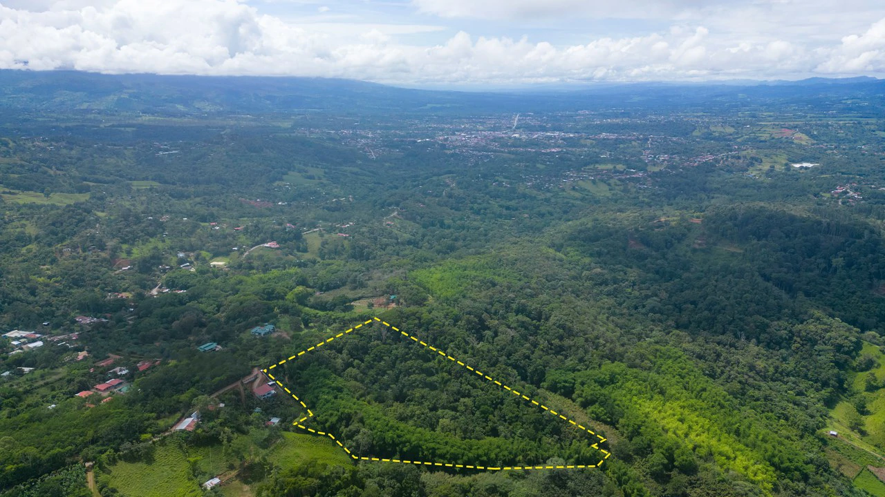 Property #1 with Bamboo Plantation, Development Opportunity (Residential, Hotel, and Industrial). - Gallery image 17