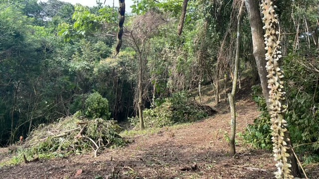 Beautiful Property for Sale in the Mountains of San Juanillo – Prime Land with Building Potential Just 10 Minutes from the Ocean - Gallery image 10