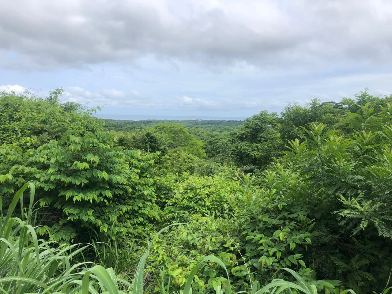Spectacular private ocean view farm in Tamarindo, Costa Rica