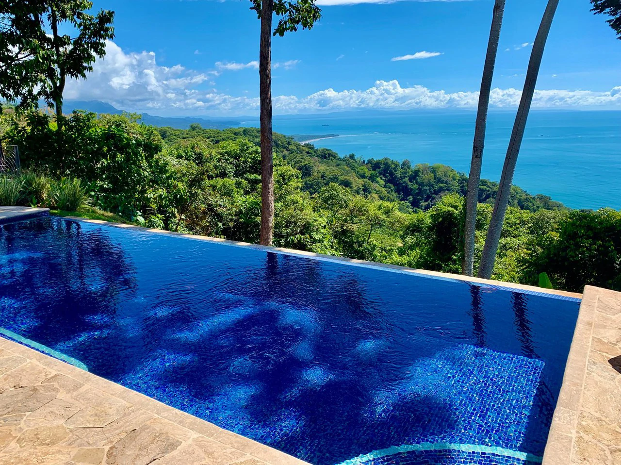 2 ACRES – 2 Bedroom Whales Tale Ocean View Home In Costa Verde Estates Gated Community!!!: 79 ACRES – Amazing Farm On Ridge Top With Whale’s Tail Ocean View And 800 Exotic Tropical Fruit Trees!!!!! - Gallery image 43