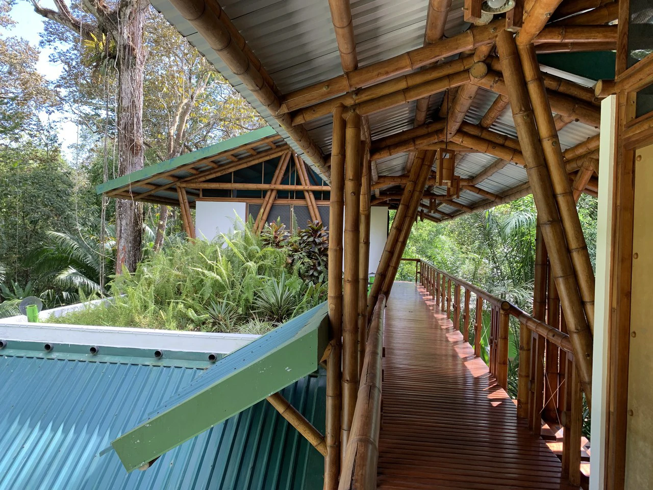 Jungle Beach Exotic Retreat - Gallery image 19