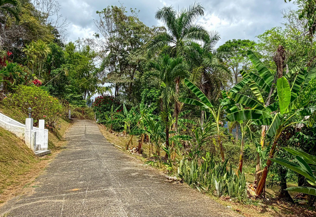 3.64 ACRES - 3 Bedroom Home With Expansive Ocean Views, Multiple Areas to Build, Public Road With Commercial Potential, 10min to the Beach!! - Gallery image 15