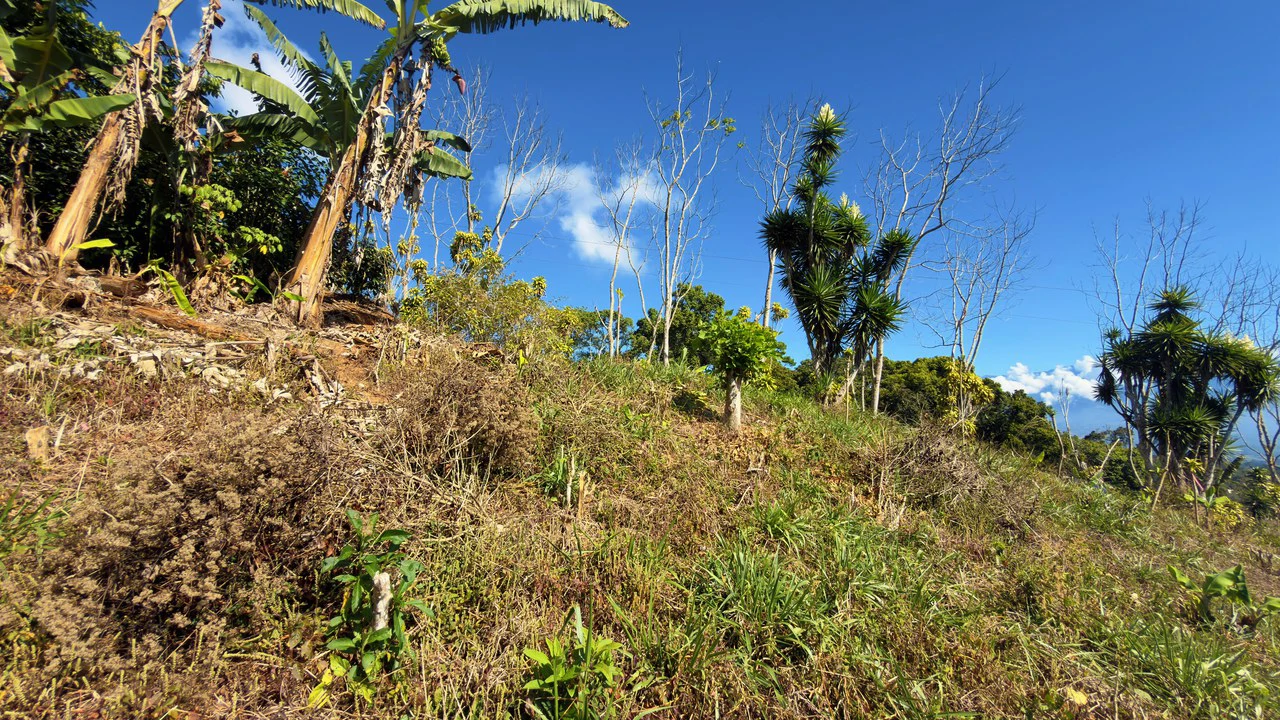 Countryside Home Construction Site For Sale in San Rafael - Gallery image 2