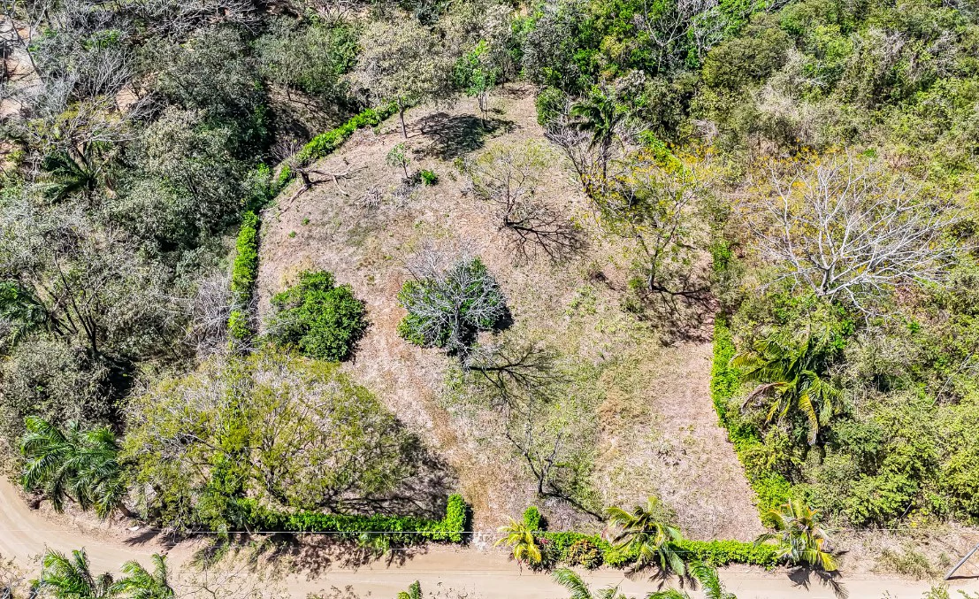 Lote del Bosque: Beautiful Acre Lot in Montaña