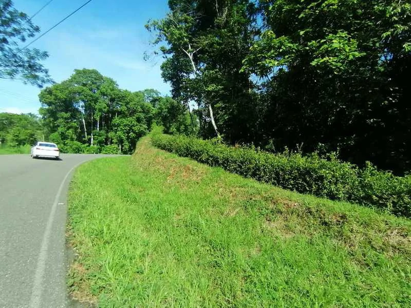 2.47 Acres Property | Mountain Top Ocean View lot in Bahía Chal - Gallery image 18