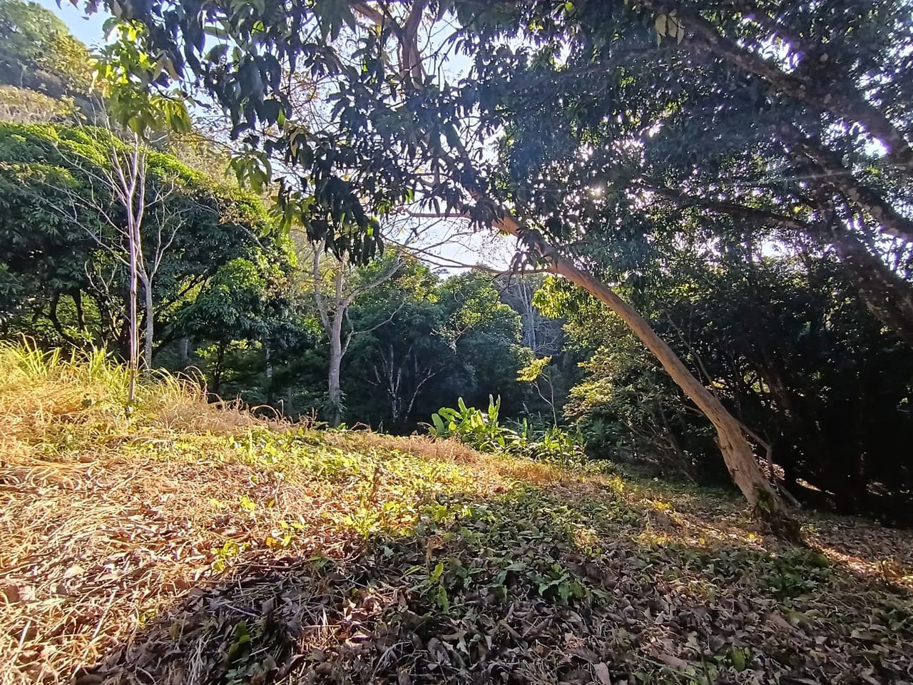 Property for sale in Ciudad Colon San José Costa Rica - Gallery image 10