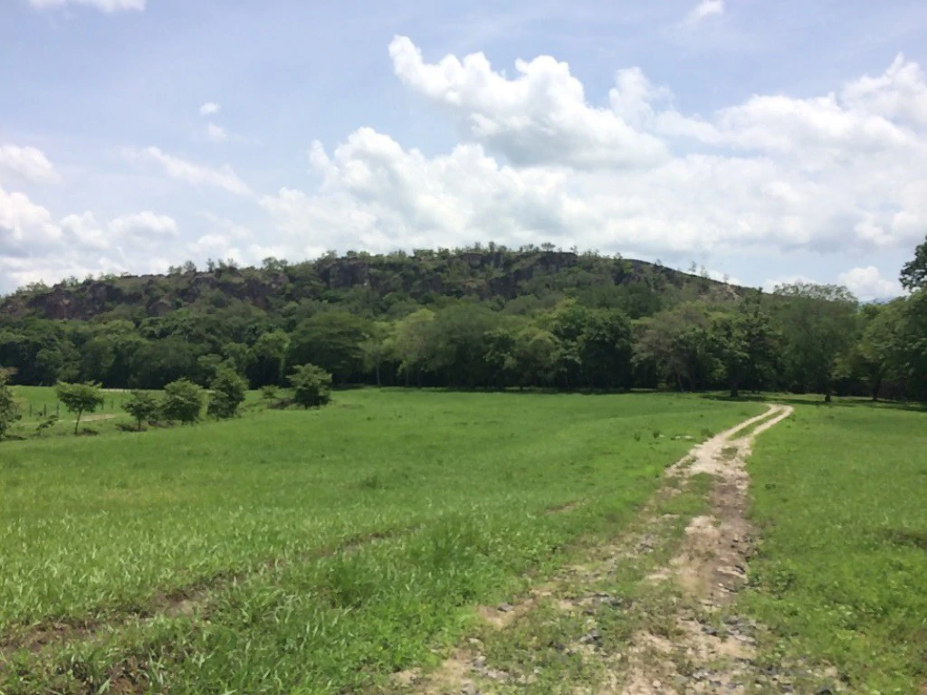 Propiedad de 79 hectáreas: Property of 79 hectares, located in Canas Dulces Liberia. - Gallery image 11