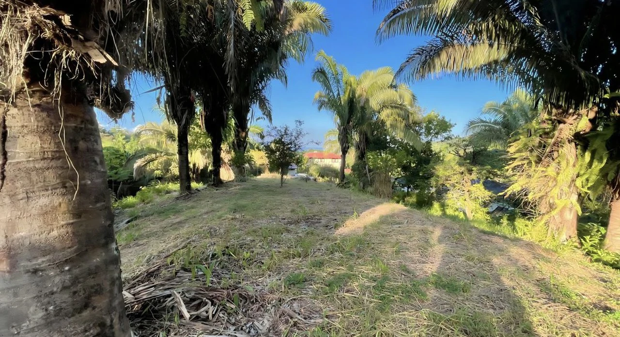 Exclusive Hermosa 1.2 Acre Lot with Panoramic Mountains and Ocean View. - Gallery image 15