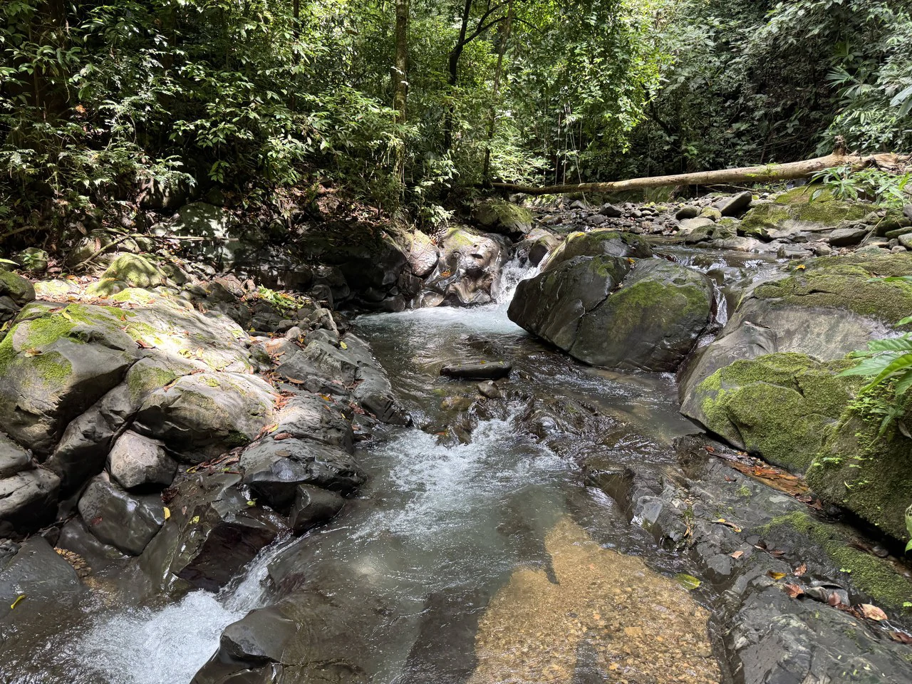 23.5 Acre Waterfall & Riverfront Estate Bahia Ballena Osa Peninsula - Gallery image 21